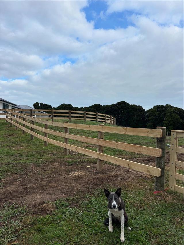 Rural fencing job in Rodney by Elite Lifestyle Services