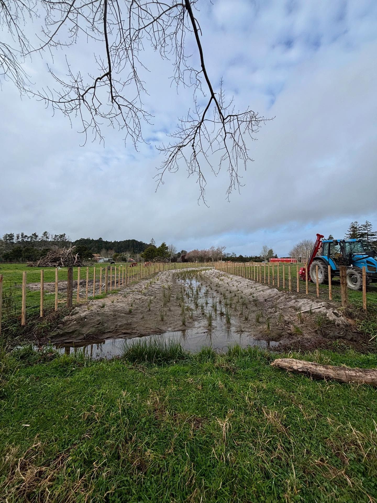 Freshly cut drainage channel and earthworks on a wet paddock
