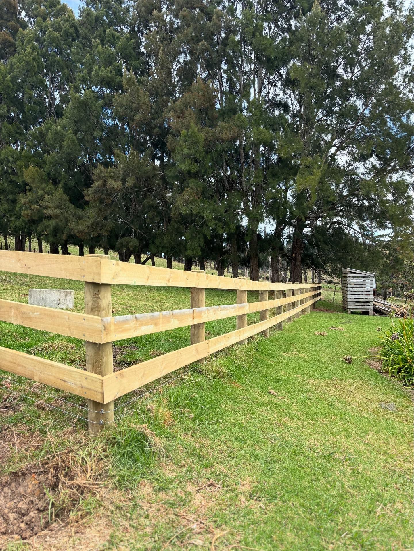 Long run of three-rail timber post and rail fencing along a farm driveway
