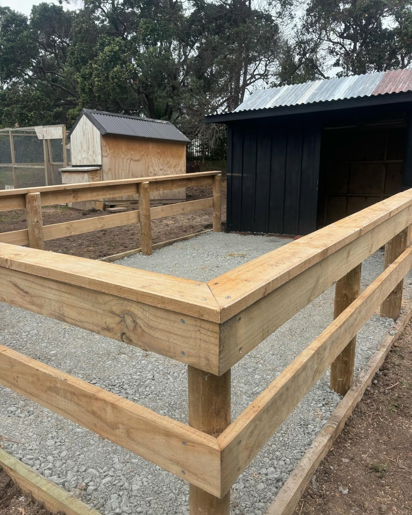 New timber stock yards and galvanised gates on a Rodney farm